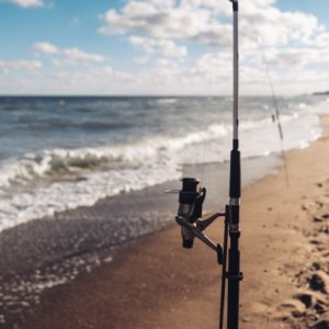 Surfcasting